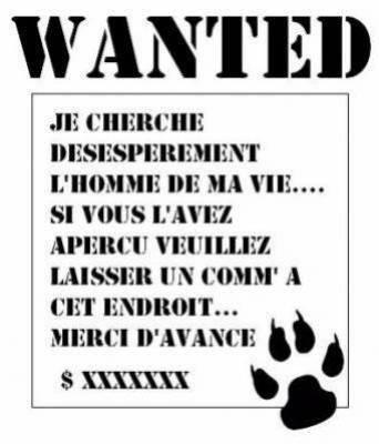 ♥★♡ No comment♥★♡